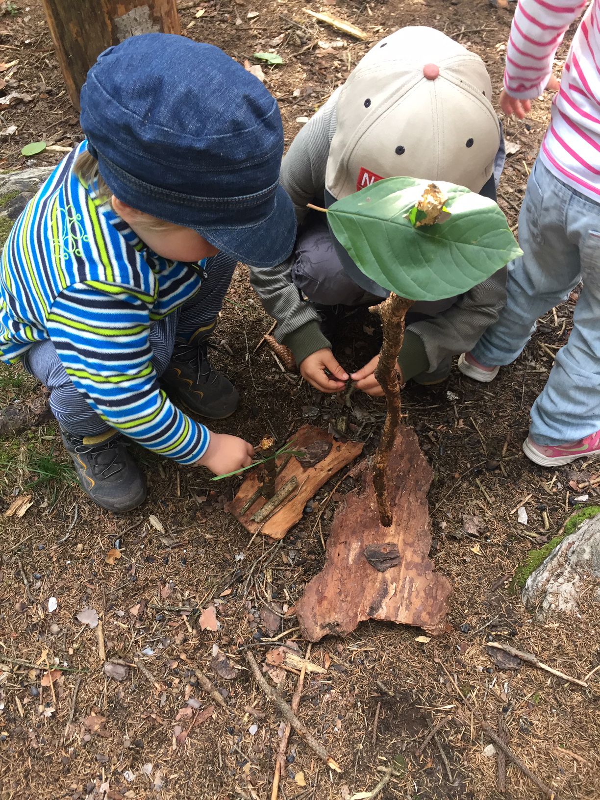 NEU! Ab Juni: Familien Waldtreffen in Flims 